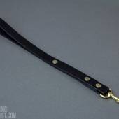 Dsg Leash Medium 001 Dsg Leash Medium 001