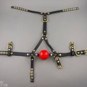 Bll Ballgag Harness 001 Bll Ballgag Harness 001