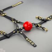 Bll Ballgag Harness 002 Bll Ballgag Harness 002