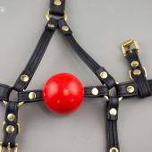 Bll Ballgag Harness 004 Bll Ballgag Harness 004