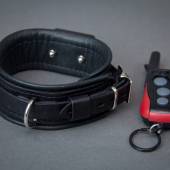 Dsg Shock Collar 001