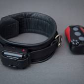 Dsg Shock Collar 002