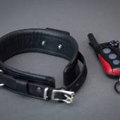 Dsg Shock Collar 003