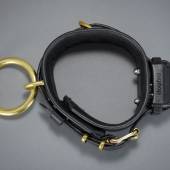 Dsg Shock Collar 004