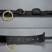 Dsg Shock Collar 005