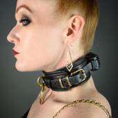 Dsg Shock Collar 006