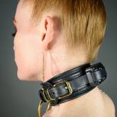 Dsg Shock Collar 007