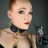 Dsg Shock Collar 008