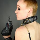 Dsg Shock Collar 009