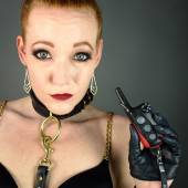 Dsg Shock Collar 010